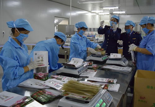 安全質檢丨以法律為基石，筑牢質量安全防線